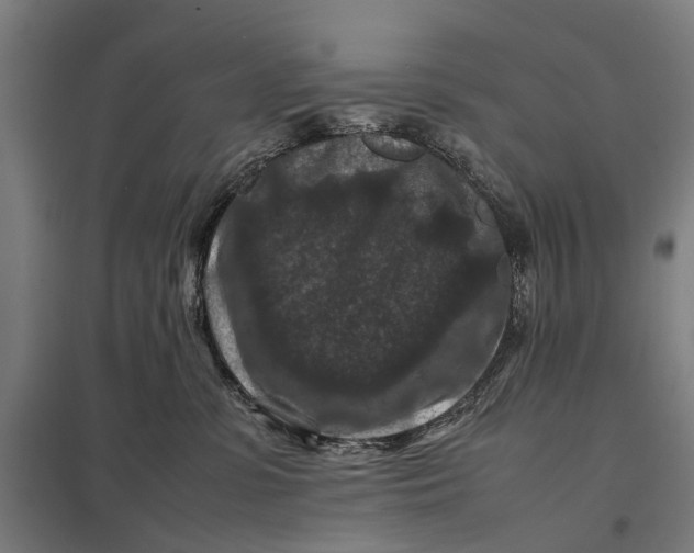 X0000097840331200803281229