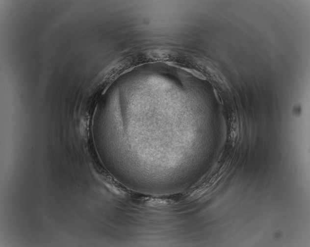 X0000097840332200803281229