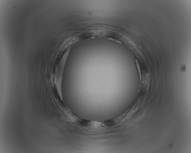 X0000097840333200803281229