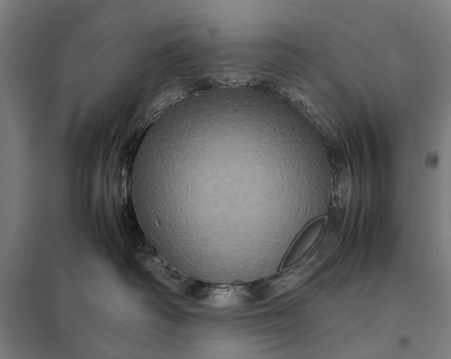 X0000097840334200803281229