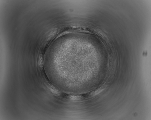 X0000097840336200803281229