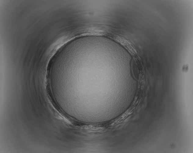 X0000097840338200803281229