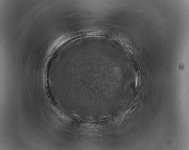 X0000097840339200803281229