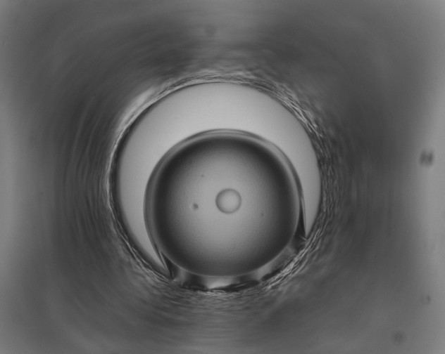 X0000097840340200803281229