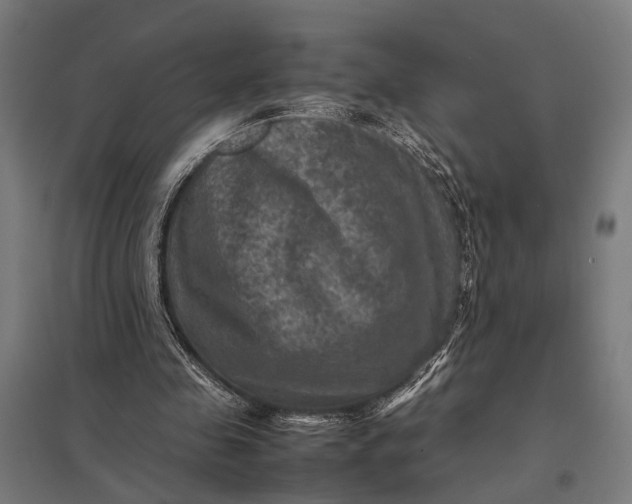 X0000097840341200803281229