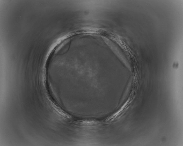 X0000097840342200803281229