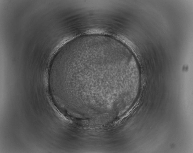 X0000097840345200803281229