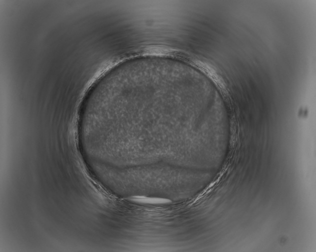 X0000097840346200803281229