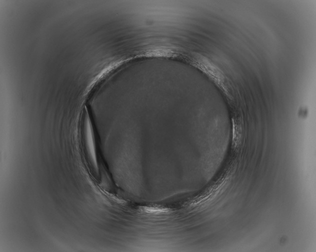 X0000097840348200803281229