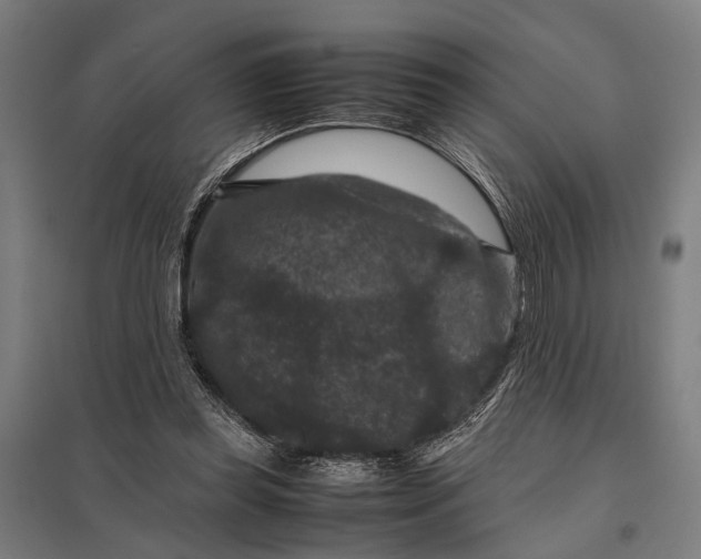 X0000097840349200803281229