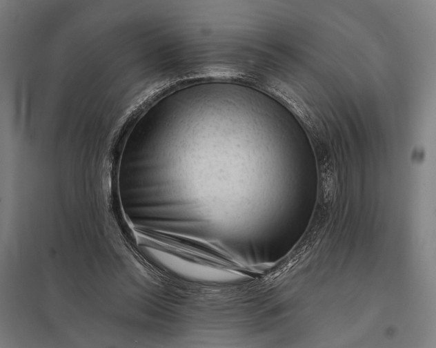 X0000097840350200803281229