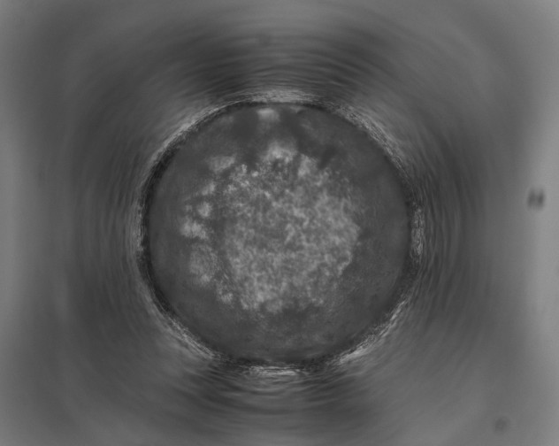 X0000097840351200803281229