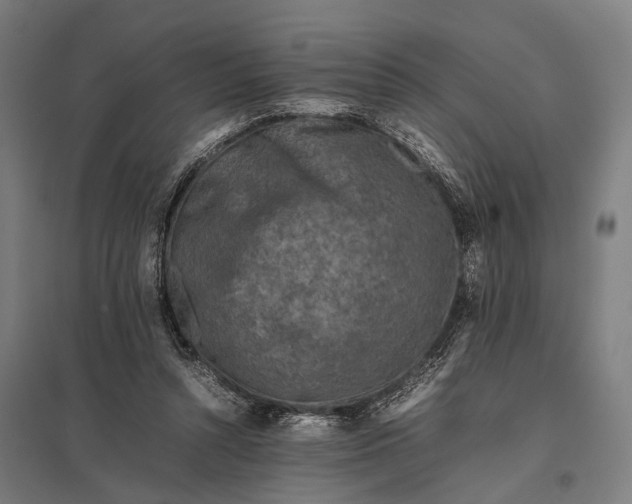 X0000097840352200803281229