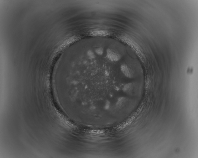 X0000097840353200803281229