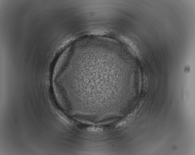 X0000097840354200803281229