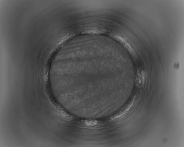 X0000097840355200803281229