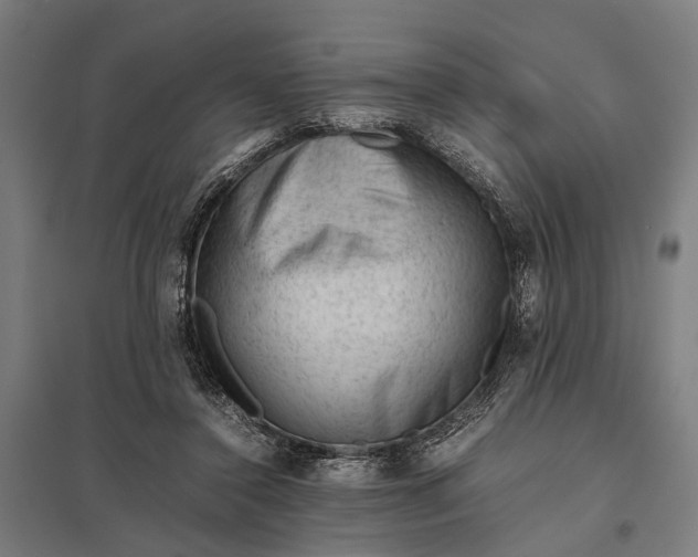 X0000097840356200803281229