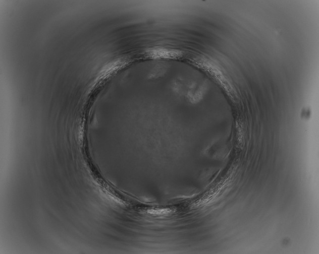 X0000097840357200803281229