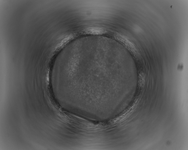 X0000097840358200803281229