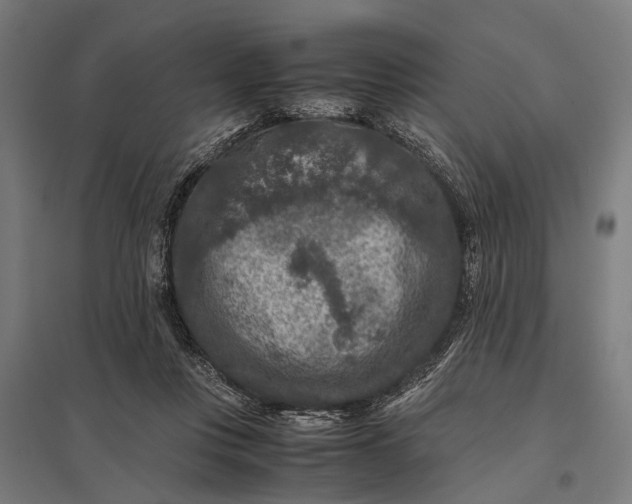 X0000097840359200803281229