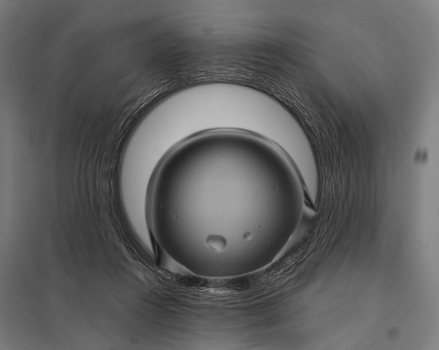 X0000097840360200803281229