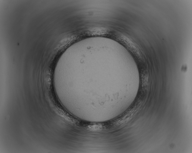 X0000097840362200803281229