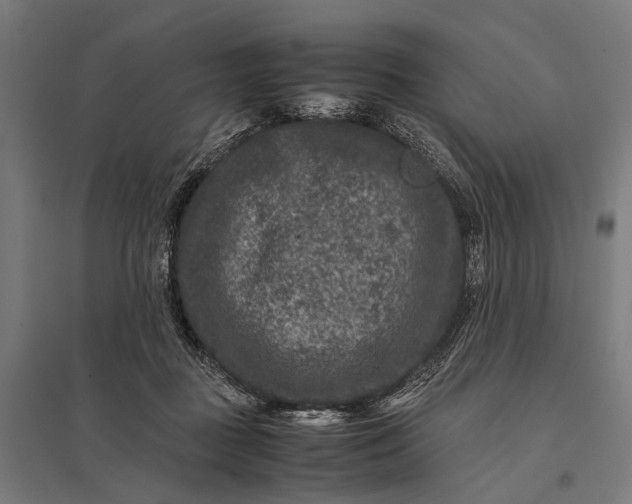 X0000097840363200803281229