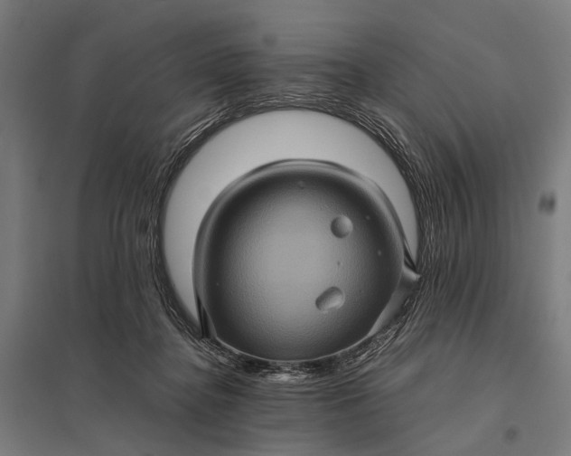 X0000097840364200803281229