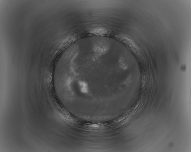 X0000097840365200803281229