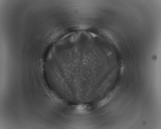 X0000097840366200803281229