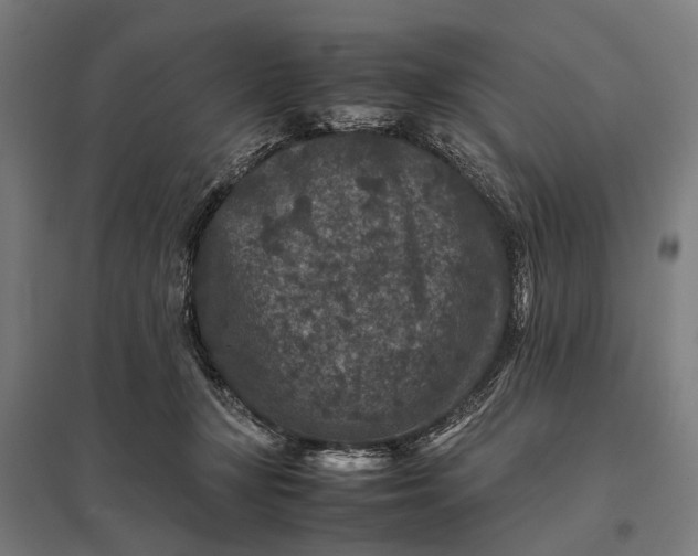 X0000097840367200803281229