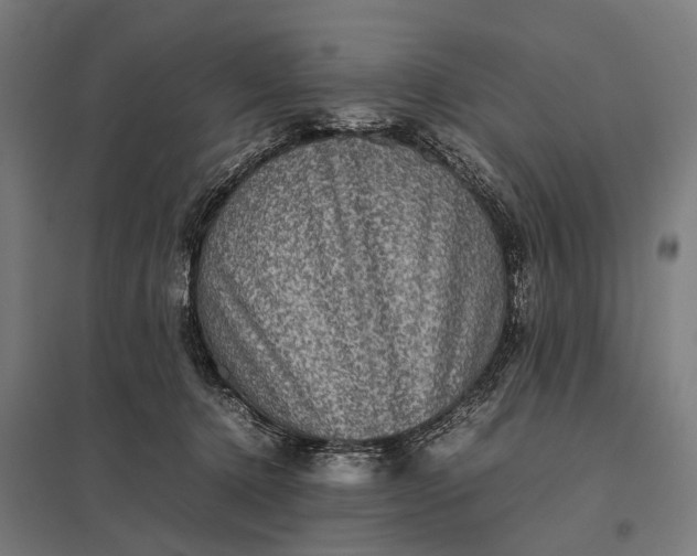 X0000097840368200803281229