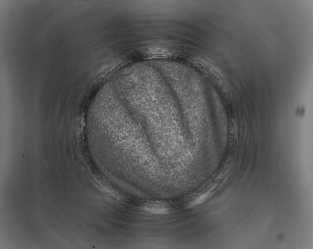 X0000097840369200803281229