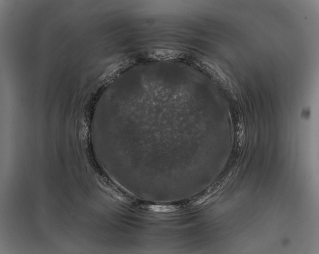 X0000097840371200803281229
