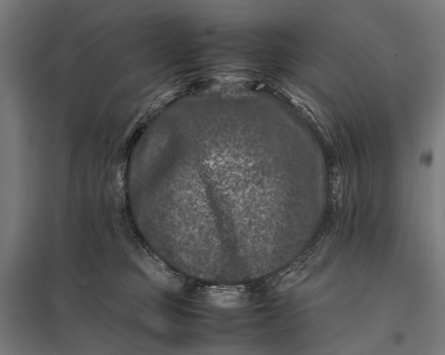 X0000097840373200803281229