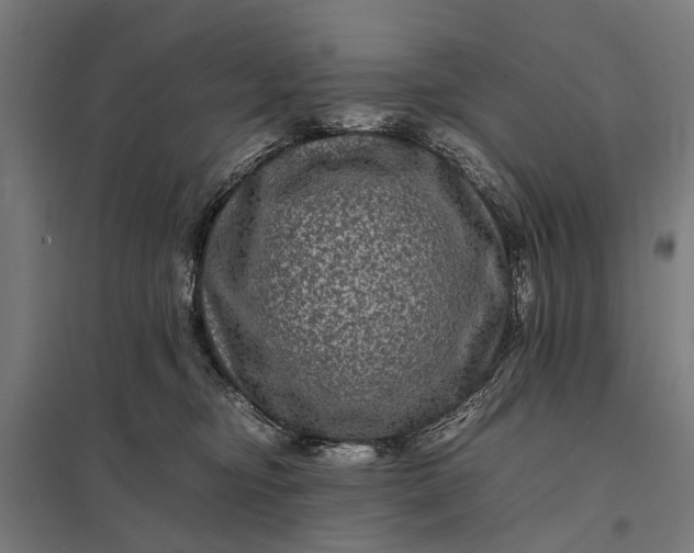 X0000097840374200803281229