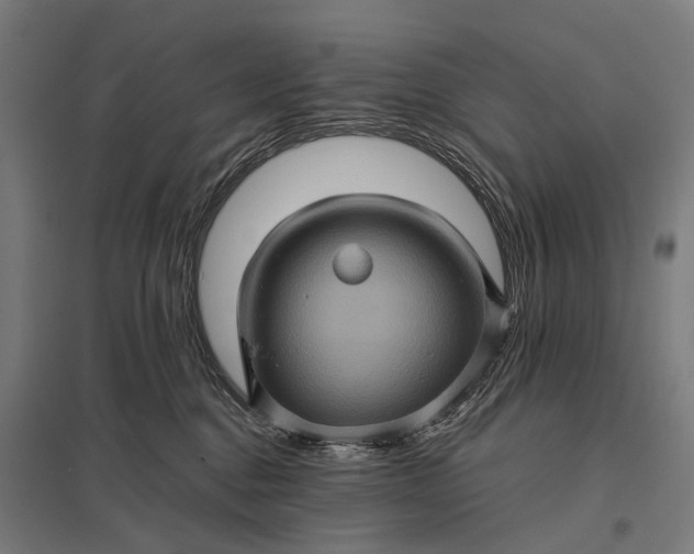 X0000097840376200803281229