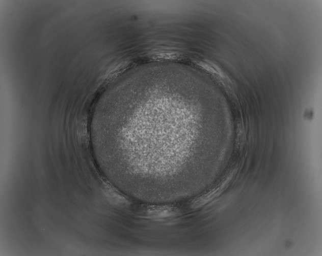 X0000097840377200803281229