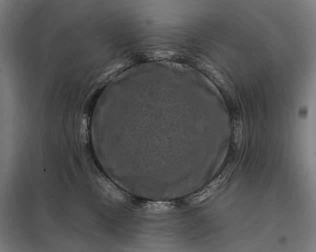 X0000097840378200803281229