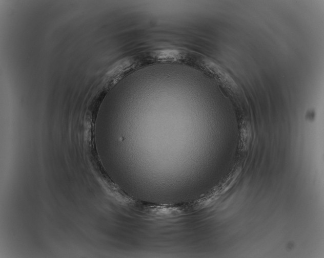 X0000097840379200803281229