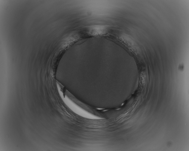 X0000097840380200803281229