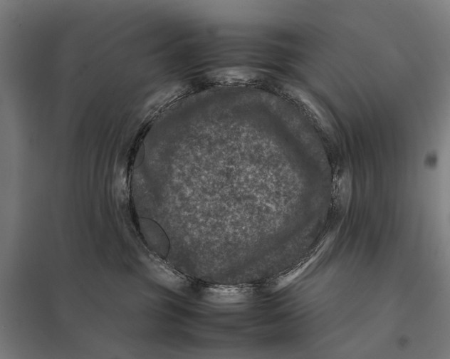 X0000097840381200803281229