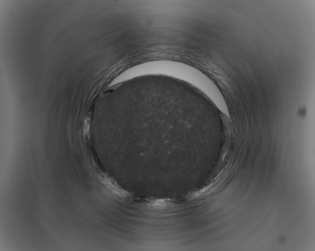 X0000097840382200803281229