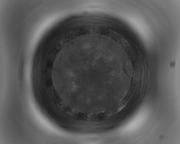 X0000097840383200803281229