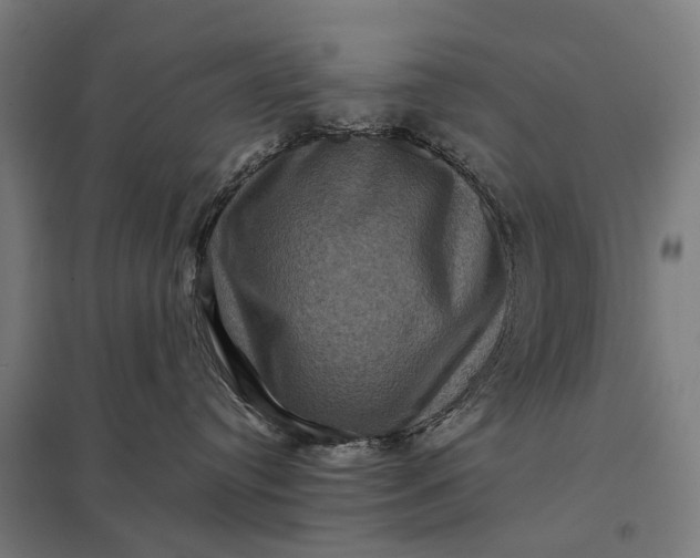 X0000097840384200803281229