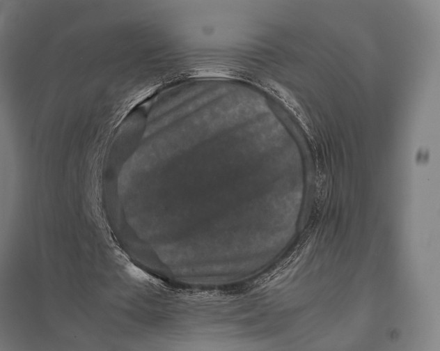X0000097840385200803281229