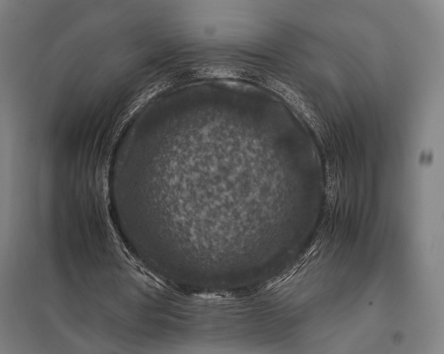 X0000097840386200803281229