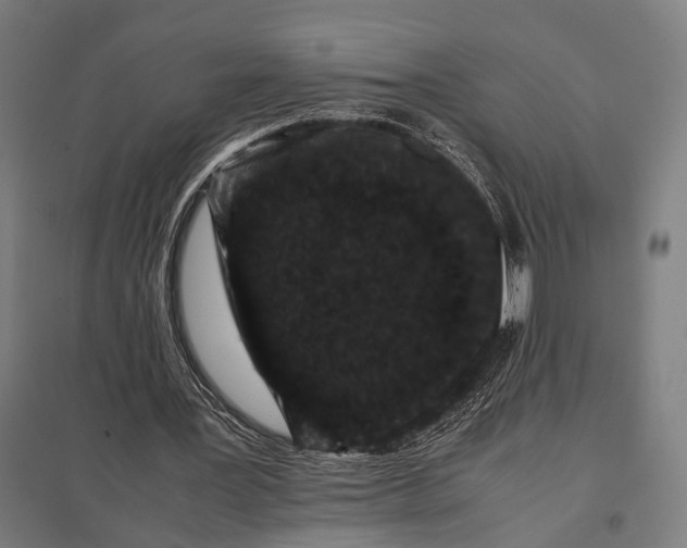 X0000097840387200803281229