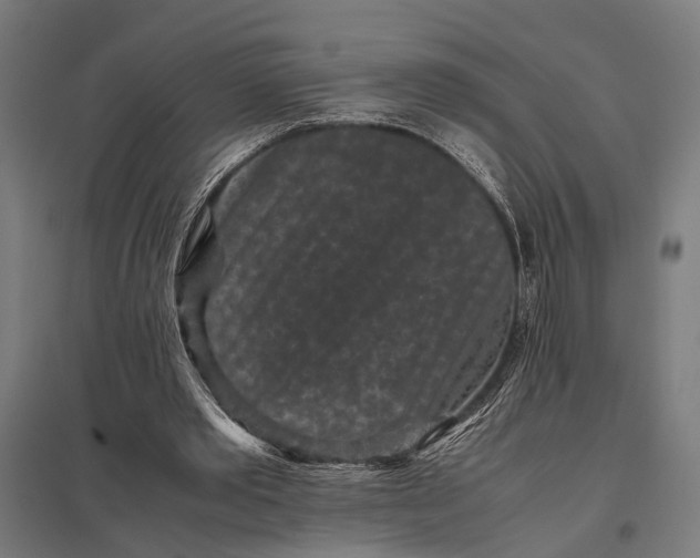 X0000097840389200803281229