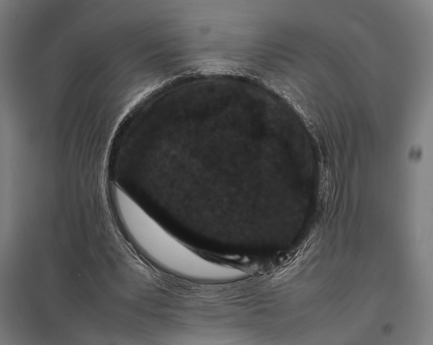 X0000097840391200803281229
